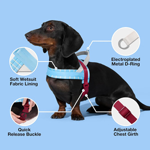 Arnés <span class=keywords><strong>para</strong></span> Perro de Alta Calidad, Sin Estrangulamiento, con Correa, Ajustable, Acolchado y Suave, <span class=keywords><strong>para</strong></span> Whippet, Galgo, Dachshund - Product Image 4