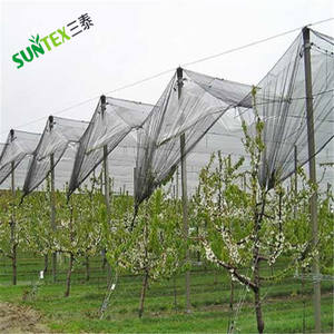 <span class=keywords><strong>Filet</strong></span> <span class=keywords><strong>de</strong></span> <span class=keywords><strong>protection</strong></span> contre la grêle pour <span class=keywords><strong>cerisier</strong></span>/<span class=keywords><strong>Filet</strong></span> anti-grêle en plastique agricole/<span class=keywords><strong>Filet</strong></span> anti-grêle 70gsm à vendre - Product Image 1