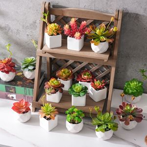 Planta Suculenta Artificial de Plástico en Maceta, Decoración para Bodas, Artesanía, Venta al por Mayor, Estilo INS, Comercio Transfronterizo - Product Image 1