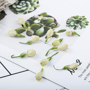 Thé au jasmin <span class=keywords><strong>de</strong></span> qualité supérieure, fleurs séchées biologiques naturelles chinoises, prix <span class=keywords><strong>de</strong></span> gros pour sacs en vrac, traitement brut, aromatisé - Product Image 4