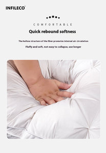 Design di lusso Hotel Hilton cuscini in morbido cotone 100% bianco <span class=keywords><strong>piuma</strong></span> <span class=keywords><strong>d</strong></span>'<span class=keywords><strong>oca</strong></span> <span class=keywords><strong>d</strong></span>'anatra piumino cuscino nucleo letto all'ingrosso Hotel cotone - Product Image 6