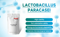Ingrediente Alimenticio Probiótico a Granel, Polvo de Lactobacillus Paracasei, OEM ODM