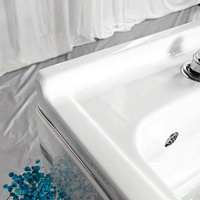 Bain de spa de luxe pour chiens avec ozone, micro-bulles laiteuses, nano-bulles, baignoire de toilettage pour chiens pour la salle de bain, nettoyage et bain des animaux de compagnie