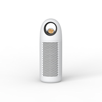 Déshumidificateur rechargeable à adsorption silencieux Invitop Mini pour hôtel, voiture, meilleur petit déshumidificateur