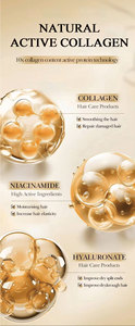 Masque revitalisant capillaire au collagène, nourrissant, rafraîchissant, contrôle du sébum, anti-chute de <span class=keywords><strong>cheveux</strong></span>, shampooing antipelliculaire, ensemble de soins capillaires - Product Image 4