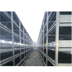 White Button Mushroom Growing Shelves For Mushroom <b>Cultivation</b> - Product Image 2