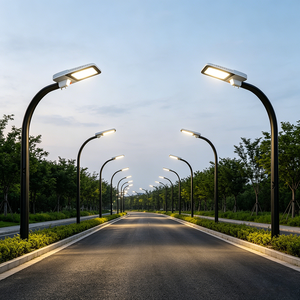 Lampione LED Durevole per Esterni con Alloggiamento in Alluminio e Design Rettangolare per Illuminazione Stradale Urbana e Aree Industriali - Product Image 2