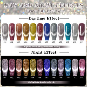 허니 걸 OEM 15ml 레인보우 캣아이 젤 실버 스파클 9D 캣아이 마그네틱 홀로그램 효과 도매 네일 캣아이 젤 폴리쉬 - Product Image 6