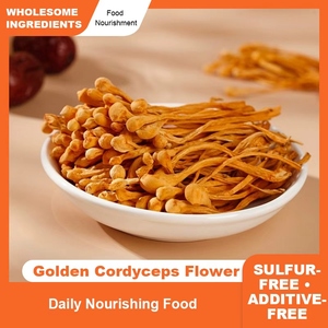 Flor <span class=keywords><strong>de</strong></span> Cordyceps Dorada al por Mayor, Flor Natural Amarilla <span class=keywords><strong>de</strong></span> Cordyceps Militaris, Cordyceps <span class=keywords><strong>Cabeza</strong></span> <span class=keywords><strong>de</strong></span> Leopardo, Hongo Comestible Puro - Product Image 1