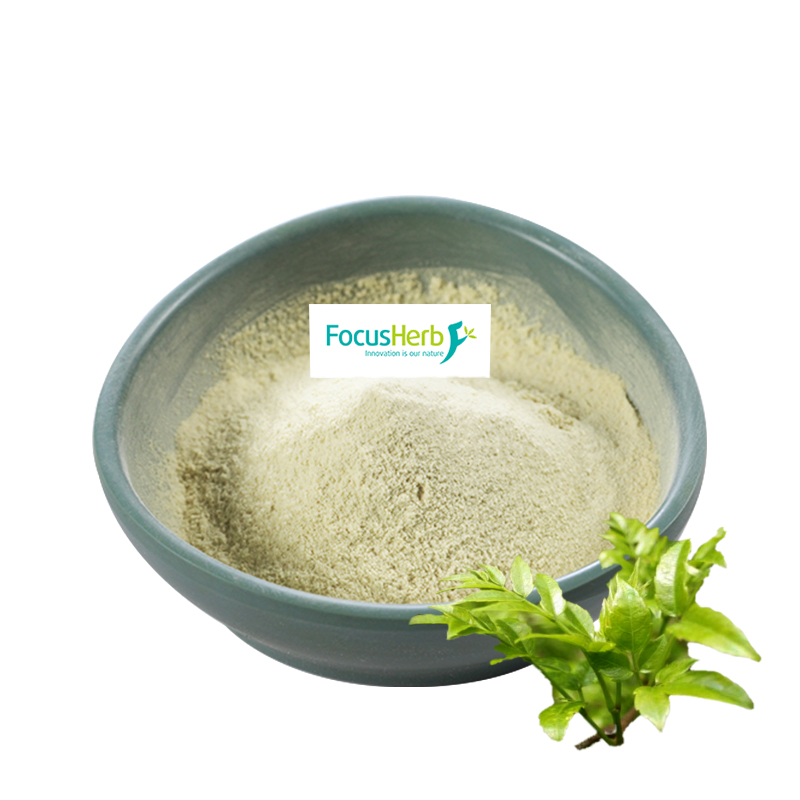 FocusHerb USA High Quality 98% DHM Dihydromyricetin Food Grade Powder Vine Tea Extract From Spot Warehouse
