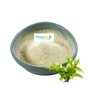 Focusherb ผงเถาสกัดจากคลังสินค้าเฉพาะจุด98% dhm dibromyricetin เกรดอาหาร - Product Image 1