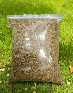 Larves de mouches <span class=keywords><strong>soldat</strong></span> noires séchées, pures, naturelles et riches en protéines, une nourriture nutritive pour la volaille et les animaux de compagnie. - Product Image 5
