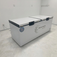 Congelador Horizontal Compacto de Una Sola Temperatura, Comercial, para Uso Doméstico y en Restaurantes, en Oferta, Buen Precio
