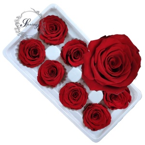 <span class=keywords><strong>Rose</strong></span> Eterne Preservate di Alta Qualità, Colorate, Grado A, 4-5 cm, per Confezioni Floreali - Product Image 1