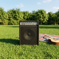 Amplificateur de guitare professionnel combo 400W, amplificateur de guitare combo avec haut-parleur AH200