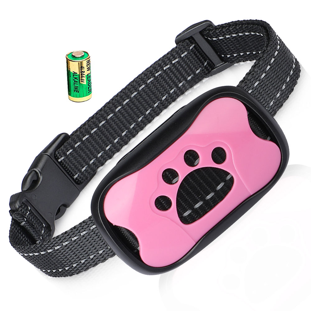 Batterie 6V Rose