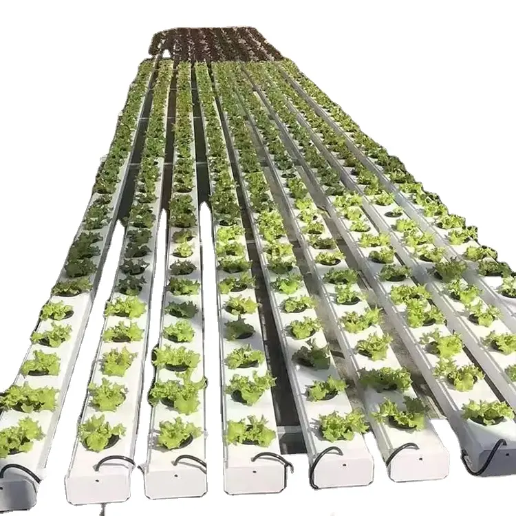Commercial RDWC Hydroponic Growing Systems New Product 2020 White Provided Water Saving Irrigation System Food Grade PVC 2 Years