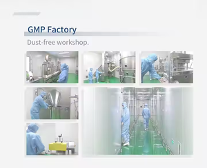 Private Label Oem/Odm Haosen Nad Veganistische Capsules Supplement 60 Capsules/Fles Gezondheidszorg - Product Image 6