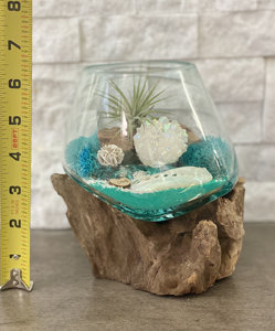 Hand geblasenes Angel Aura Crystal Air Plant <span class=keywords><strong>Terrarium</strong></span> für Strand dekor mit türkis farbenem <span class=keywords><strong>Sand</strong></span> hängen oder auf dem Boden anzeigen - Product Image 3