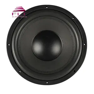 Loud Speaker 1000w 12 Inch Subwoofer Car Audios For Car Systems