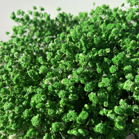 Handgemaakte 120G Boeket Van Geconserveerde Gedroogde Gypsophila Bloemen Eeuwige Droge Baby Adem Moeder Voor Bruiloft En Andere Gelegenheden
