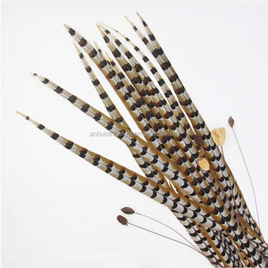 Plumas de cola de faisán Reeves natural, <span class=keywords><strong>10</strong></span>-160cm, venta al por mayor - Product Image 3
