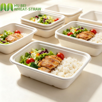 OEM Wegwerp Bagasse Voedselcontainers Biologisch afbreekbaar & composteerbaar Afhaallocaties Lunchboxen Magnetronbestendig PFAS-vrij