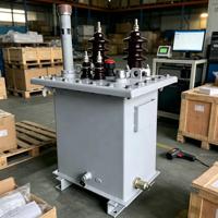 Los Transformadores Monofásicos de 20 KV se Utilizan para Suministrar Energía a Zonas Residenciales Suburbanas y Rurales