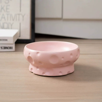 Bol en céramique pour chat, surélevé, ergonomique, anti-vomissement, protection du cou, bol de voyage pour chats âgés