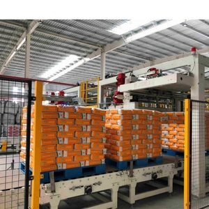 औद्योगिक पैकिंग के लिए पूरी तरह से स्वचालित पैलेट पैकिंग प्रणाली - Product Image 5