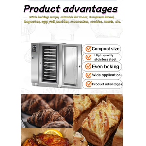 <span class=keywords><strong>Four</strong></span> à pain commercial, <span class=keywords><strong>mini</strong></span> <span class=keywords><strong>four</strong></span> à <span class=keywords><strong>convection</strong></span> à gaz pour pâtisserie, <span class=keywords><strong>four</strong></span> à pain pour boulangerie électrique professionnel au gaz - Product Image 2