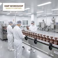 Gummies Nootropiques au Café et aux Champignons Crinière de Lion, Marque Privée OEM, 60 Unités