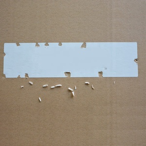 Autocollant finition coquille d'œuf, étiquette imprimable pour échantillon de peinture murale, emballage - Product Image 2