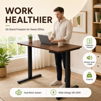 Escritorio Eléctrico Ajustable en Altura de Alta Calidad Personalizado, 120x60cm, Mesa Ergonómica de Oficina con Controlador de Memoria