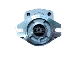 <span class=keywords><strong>TCM</strong></span> Hydraulikpumpe 117M7-10401 für FD20T6/FD20C6, FD25T6/FD25C6/C240PKJ Gabelstapler-Ersatzteile (SGP1A31.9D2H9-L438T) - Product Image 5