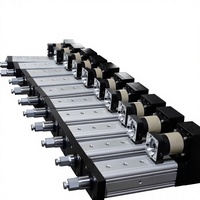 Actionneur linéaire électrique en aluminium haute précision 800KN, moteur à roulement Tongyousheng, personnalisable et réglable