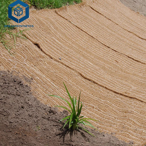 Géotextile de tapis de fibre de coco de <span class=keywords><strong>200g</strong></span> 300g avec le tapis de contrôle d'érosion de jute pour la protection de pente - Product Image 1