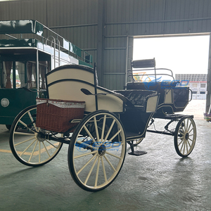 Fournisseur Direct Usine – Carrosse Électrique de Luxe Européen en Acier à 4 Roues, Taille Personnalisable, Haute Qualité pour Visites Extérieures - Product Image 4