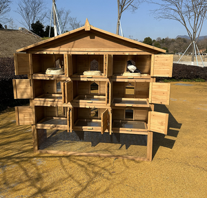 Uitverkoop van 9 houten duivenhokken, renhokken en nestkasten voor duiven, voor huisdieren & meubels - Product Image 5