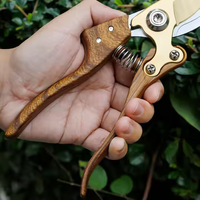 Sécateur de jardinage manuel en acier à haute teneur en carbone de qualité industrielle, durable, moderne, OEM, pour l'extérieur, pour la taille des bonsaïs