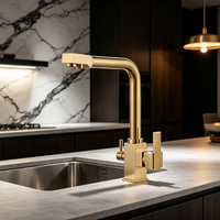 Robinet de cuisine moderne en or brossé à 2 poignées, mitigeur chaud/froid avec filtre, robinet filtrant pour eau potable, robinet de cuisine 3 voies