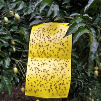 Pièges collants universels jaunes, idéaux pour les fleurs, les légumes et les arbres fruitiers