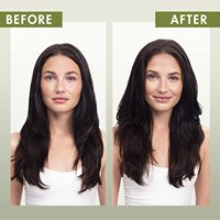 Shampooing en poudre libre et sec sans paraben et sans sulfate avec lait d'avoine