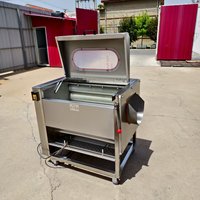 Multifunctionele groentewas- en schilmachine, borsteltype fruitreiniger, automatische roestvrijstalen voedselverwerkingsapparatuur