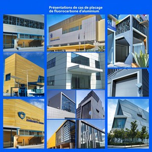 Panel de pared WPC de alta calidad, paneles sándwich, revestimiento de paneles de yeso de chapa <span class=keywords><strong>exterior</strong></span> con <span class=keywords><strong>fachada</strong></span> de <span class=keywords><strong>vinilo</strong></span> para uso interior y <span class=keywords><strong>exterior</strong></span> - Product Image 5