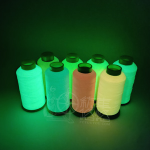 Bán Buôn 100% Polyester Phát Sáng Trong Bóng Tối Thêu Chủ Đề Phát Sáng Chủ Đề Phát Sáng Trong Bóng Tối May Chủ Đề - Product Image 4