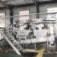 1-20 Ton Uur Volautomatisch Fruitconcentraat Maken Machine Koudgeperste Sinaasappel Citroensap Extractiemachine