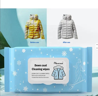 Lingettes Nettoyantes pour Doudounes, 12 Pièces, Personnalisées en Usine, à l'Eau Pure EDI, pH Équilibré, Sans Rinçage, pour l'Entretien des Vêtements