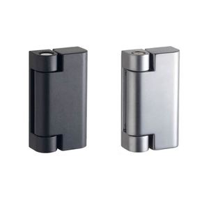 Charnière à ressort en alliage de zinc RAXHP pour armoire de commande 820091, avec amortissement par roulement, design traditionnel apparent, épaisseur 2 mm, 180 degrés - Product Image 5