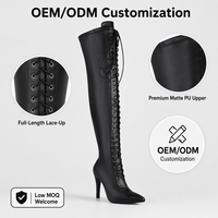 Nouvelles bottes longues de jazz pour femmes, bottes marron, chaussures de danse jazz, sandales à talons hauts, chaussures de danse, bottes au-dessus du genou